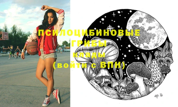 MDMA Михайловск