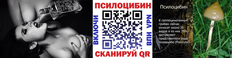магазин    KRAKEN ONION  Псилоцибиновые грибы прущие грибы  Заозёрный 